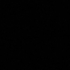 Meet your Posher, Bella